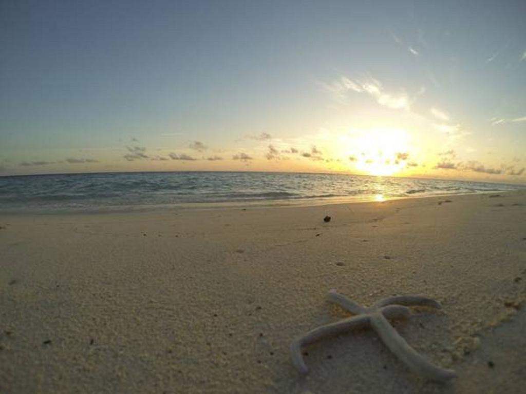 Local Island Inn Hangnaameedhoo Buitenkant foto
